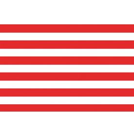 Árpád-sávos zászló