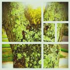 Egyedi képek nyomtatása 5 mm fehér habkartonra